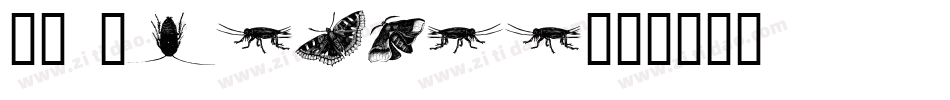 WM Insects字体转换